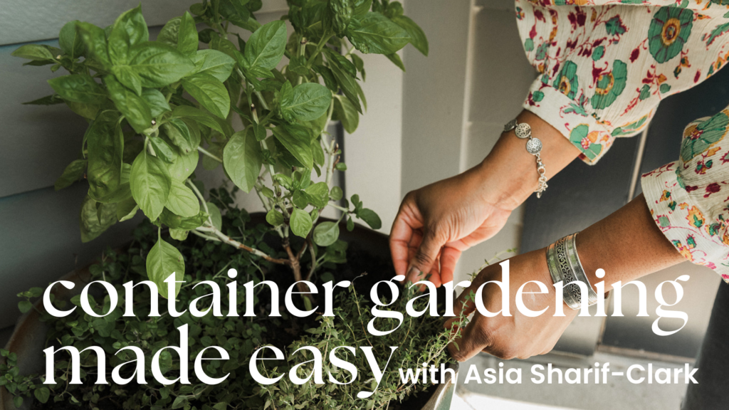 container gardening made easy